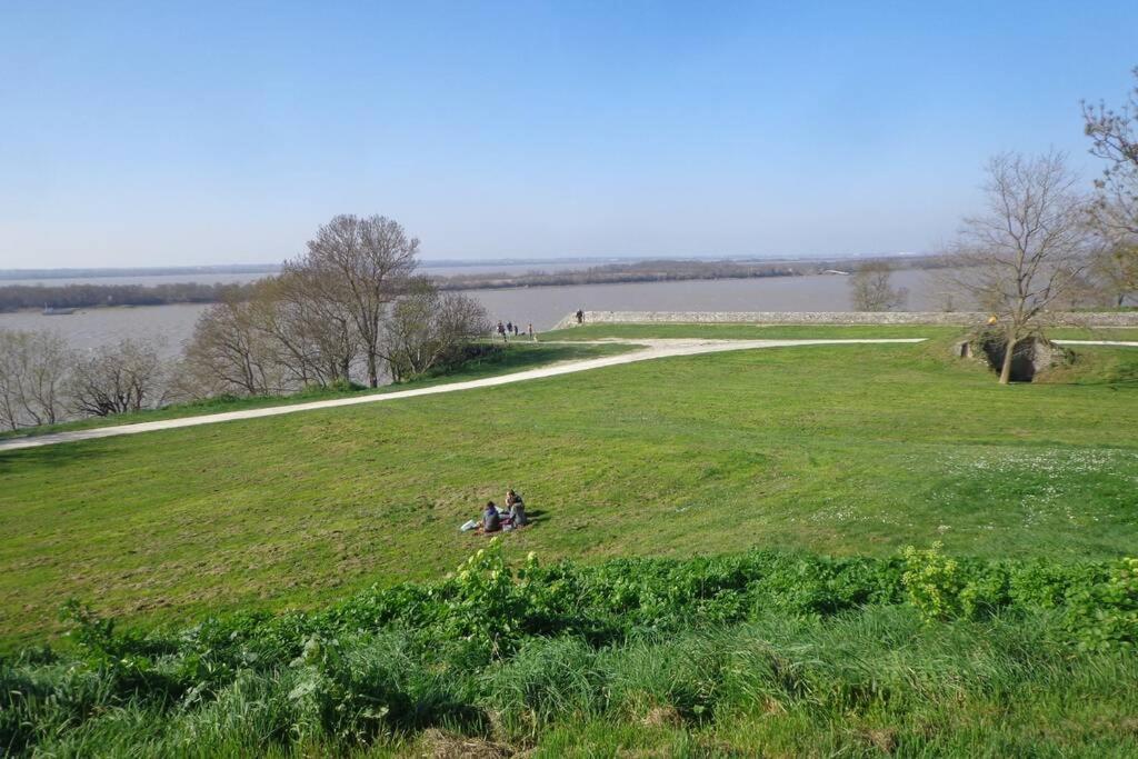 Villa Grange La Bigarderie Blaye Esterno foto