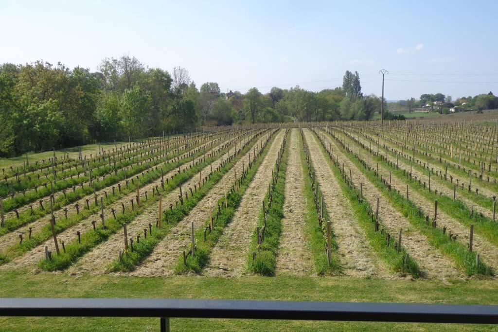 Villa Grange La Bigarderie Blaye Esterno foto